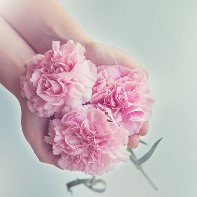 pink-beautiful-flowers-held