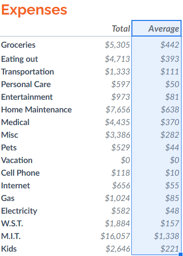 Family Expenses / Annual Budget Review for 2020 